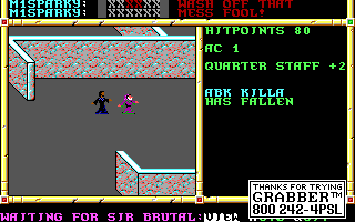 Recovered NWN screenshot abkkilla.gif