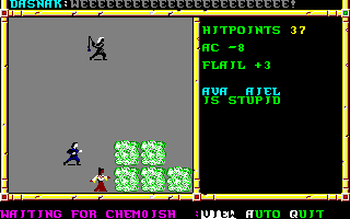 Recovered NWN screenshot avaaiel.gif