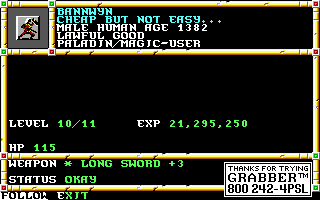 Recovered NWN screenshot bannwyn.gif