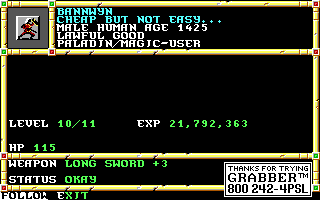 Recovered NWN screenshot bannwyn2.gif