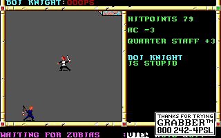 Recovered NWN screenshot boiknight.gif