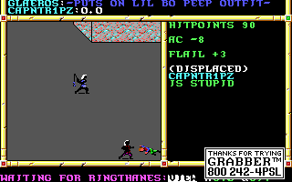 Recovered NWN screenshot capntripz.gif