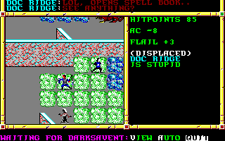 Recovered NWN screenshot docridge.gif