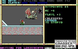 Recovered NWN screenshot ebybob.gif