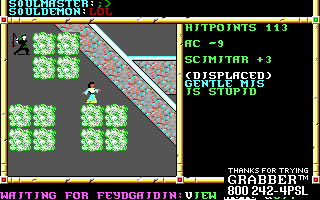 Recovered NWN screenshot gentlemis.gif