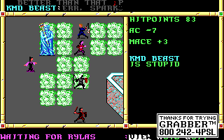 Recovered NWN screenshot kmdbeast.gif
