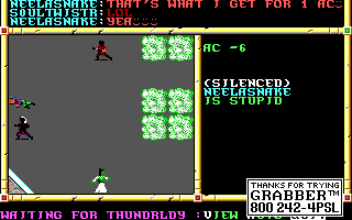 Recovered NWN screenshot neelasnake.gif