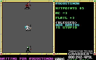 Recovered NWN screenshot noramui.gif