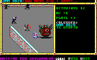 Recovered NWN screenshot ommhb2h.gif