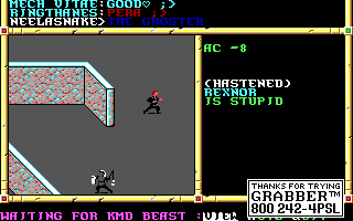 Recovered NWN screenshot rexnor.gif