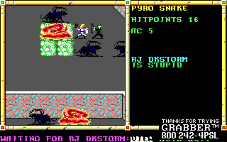 Recovered NWN screenshot rjdrkstorm.gif