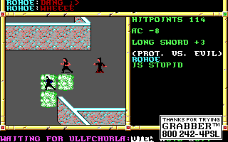Recovered NWN screenshot rohoe.gif