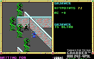 Recovered NWN screenshot sajanek1.gif