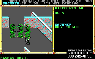 Recovered NWN screenshot sajanek2.gif