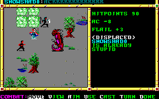 Recovered NWN screenshot snowshado.gif