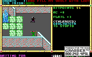 Recovered NWN screenshot soultwistr2.gif