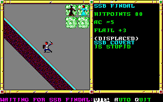 Recovered NWN screenshot ssbcovert.gif
