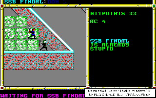 Recovered NWN screenshot ssbfindal.gif
