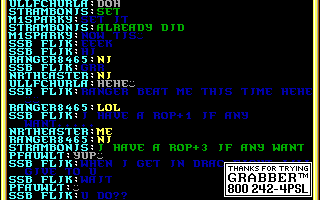 Recovered NWN screenshot ssbflik.gif