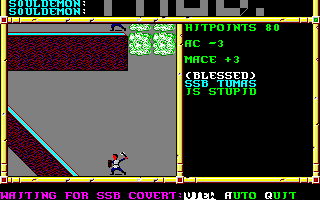 Recovered NWN screenshot ssbtumas.gif