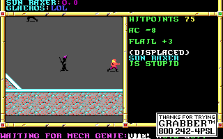 Recovered NWN screenshot sunraxer.gif