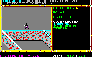 Recovered NWN screenshot turmoyle.gif