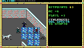 Recovered NWN screenshot udlthud.gif