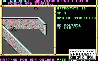 Recovered NWN screenshot wcwolrabl.gif